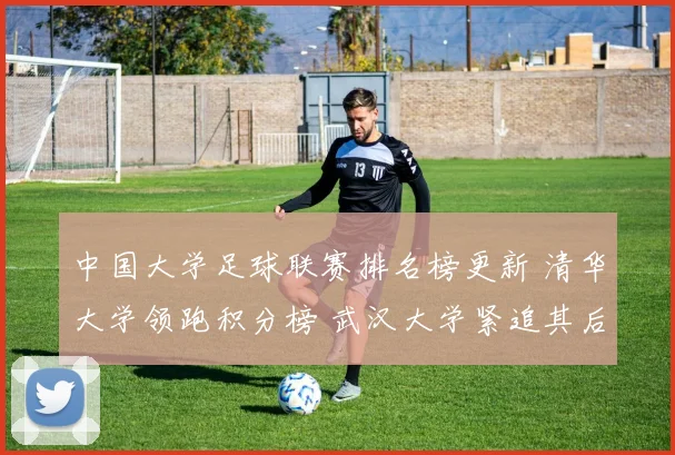 中国大学足球联赛排名榜更新 清华大学领跑积分榜 武汉大学紧追其后