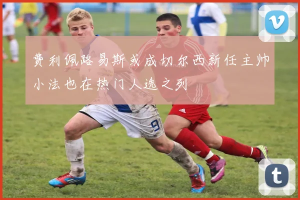 费利佩路易斯或成切尔西新任主帅小法也在热门人选之列