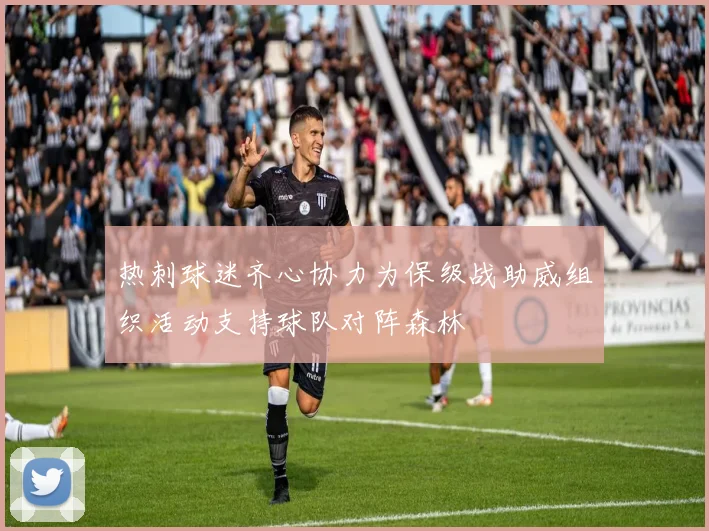 热刺球迷齐心协力为保级战助威组织活动支持球队对阵森林