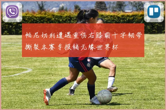 帕尼切利遭遇重伤右膝前十字韧带撕裂本赛季报销无缘世界杯
