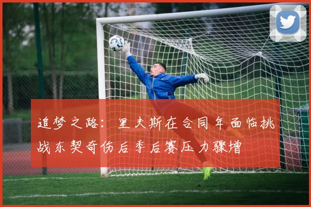 追梦之路：里夫斯在合同年面临挑战东契奇伤后季后赛压力骤增